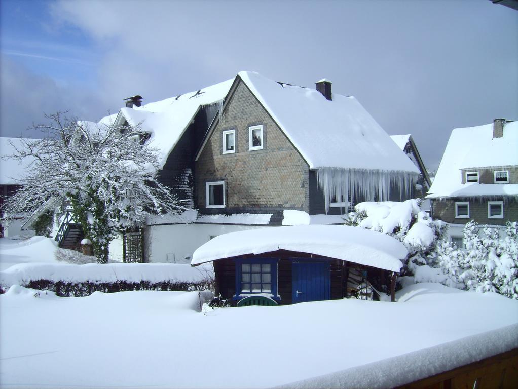 Ferienwohnung Boerner Winterberg Esterno foto